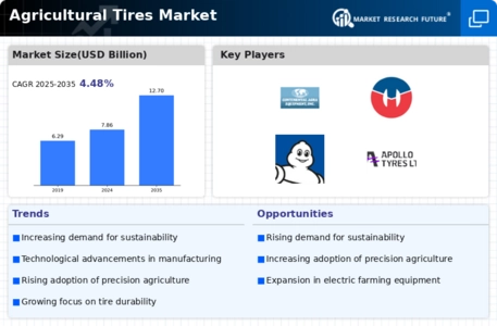 Agricultural Tires Market Infographic