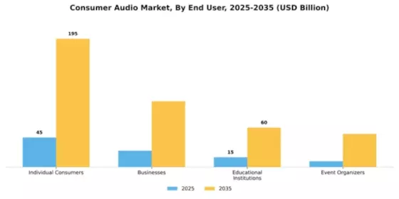 Consumer Audio Market Segment Image 1