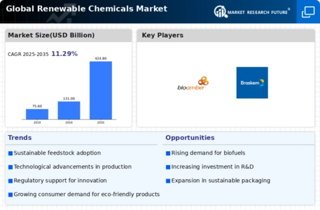 Renewable Chemicals Market Infographic