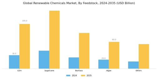 Renewable Chemicals Market Segment Image 2