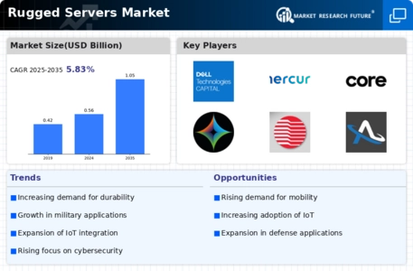 Rugged Servers Market Infographic