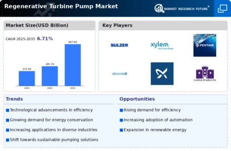 Regenerative Turbine Pump Market Infographic
