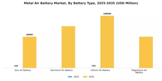 Metal Air Battery Market Segment Image 1