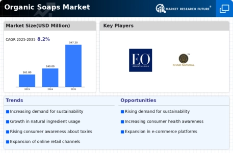 Organic Soaps Market Infographic