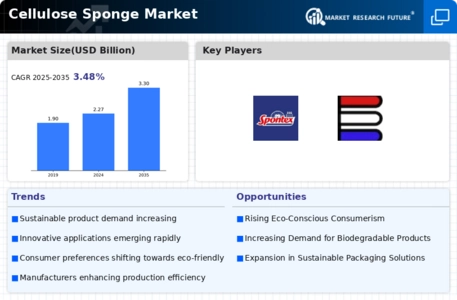 Cellulose Sponge Market Infographic