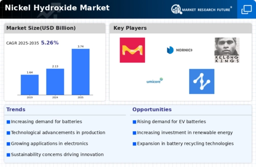 Nickel Hydroxide Market Infographic