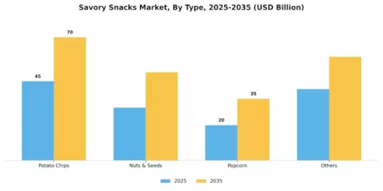 Savory Snacks Market Segment Image 0