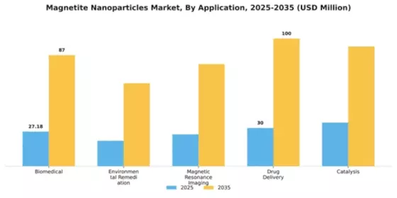 Magnetite Nanoparticles Market Segment Image 0