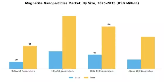 Magnetite Nanoparticles Market Segment Image 3
