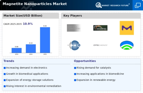 Magnetite Nanoparticles Market Infographic