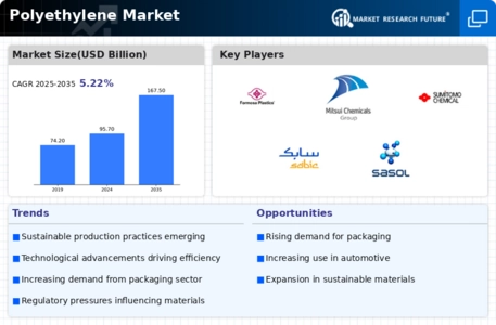 Polyethylene market Infographic