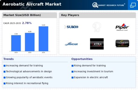Aerobatic Aircraft Market Infographic