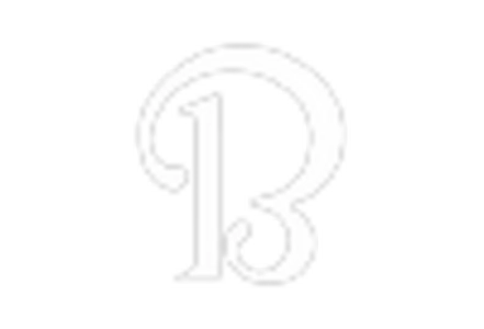 Aerobatic Aircraft Market /uploads/reports/10562/key_players_3.webp