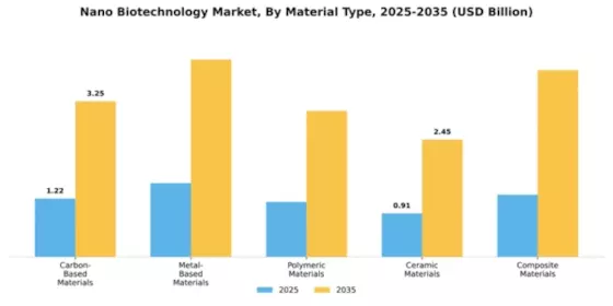 Nano Biotechnology Market Segment Image 2