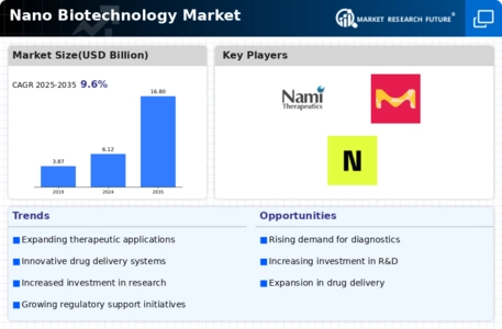 Nano Biotechnology Market Infographic