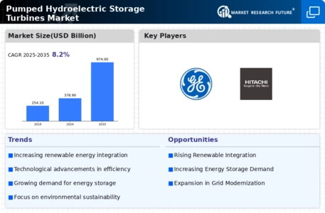 Pumped Hydroelectric Storage Turbines Market Infographic