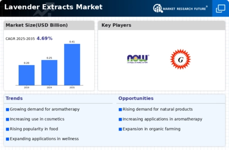 Lavender Extracts Market Infographic