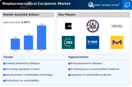 Biopharmaceutical Excipients Market Infographic