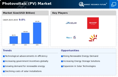 Photovoltaic Market Infographic