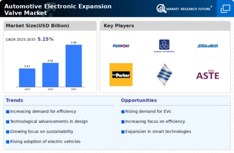 Automotive Electronic Expansion Valve Market Infographic