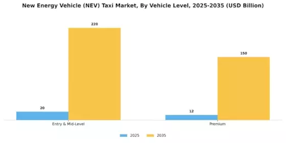 New Energy Vehicle (NEV) Taxi Market Segment Image 4