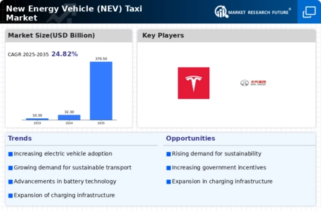 New Energy Vehicle Taxi Market Infographic