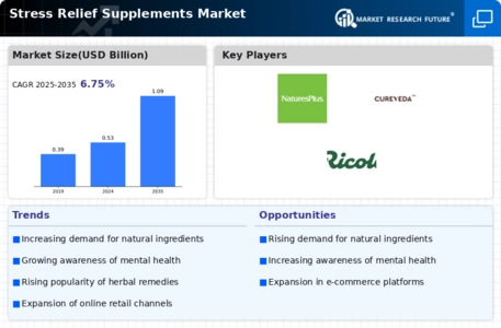Stress Relief Supplements Market Infographic