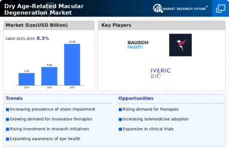 Dry Age-Related Macular Degeneration AMD Market Infographic