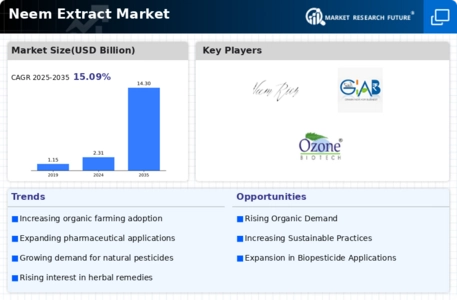 Neem Extracts Market Infographic
