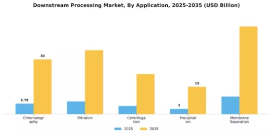 Downstream Processing Market Segment Image 0