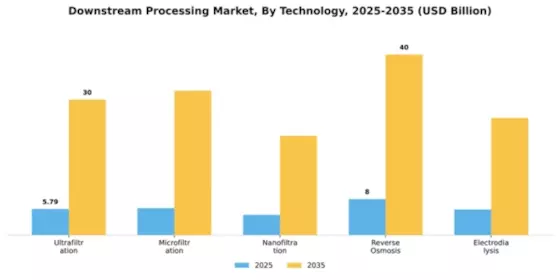 Downstream Processing Market Segment Image 4