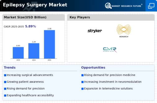 Epilepsy Surgery Market Infographic