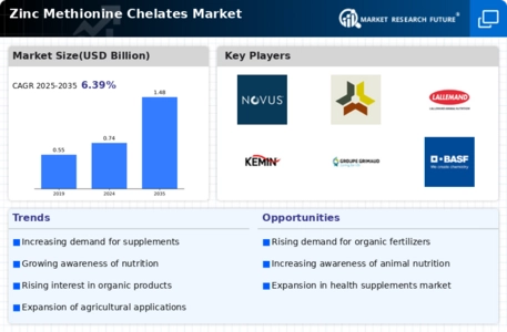 Zinc Methionine Chelates Market Infographic