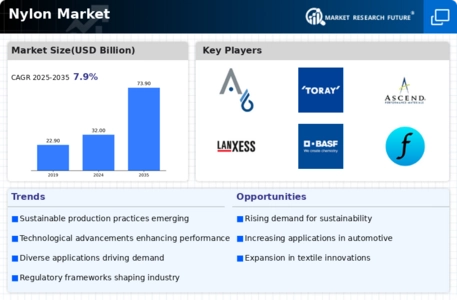 Nylon market Infographic