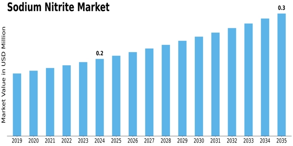 Sodium Nitrite Market Size