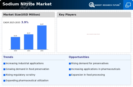 Sodium Nitrite Market Infographic