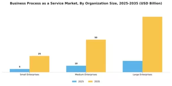 Business Process as a Service Market Segment Image 4