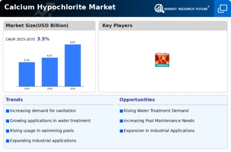 Calcium Hypochlorite Market Infographic
