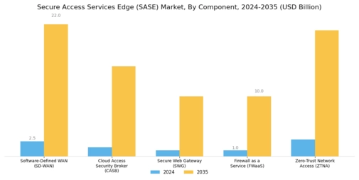 Secure Access Services Edge Market Segment Image 1