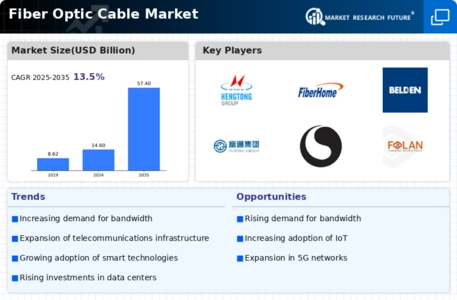 Fibre Optic Cable Market Infographic