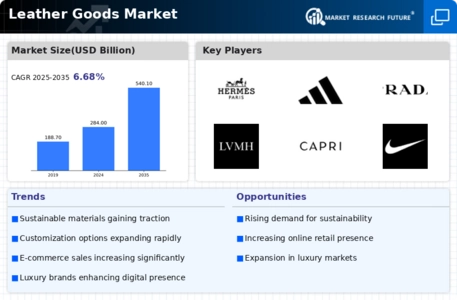 Leather Goods Market Infographic