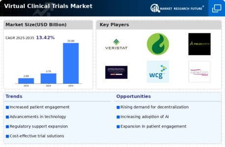 Virtual Clinical Trials Market Infographic