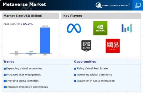 Metaverse Market Infographic