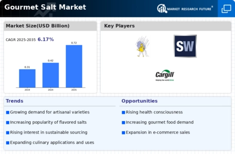 Gourmet Salt Market Infographic