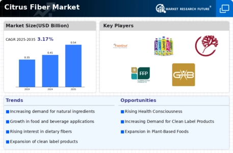 Citrus Fiber Market Infographic