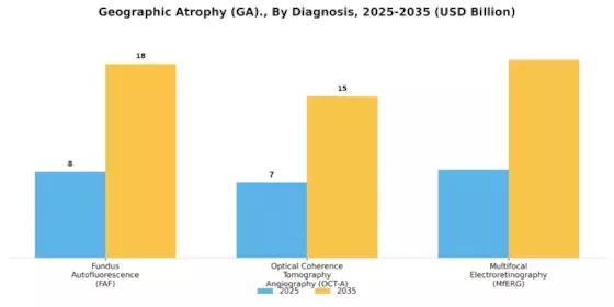 Geographic Atrophy GA Market Segment Image 1