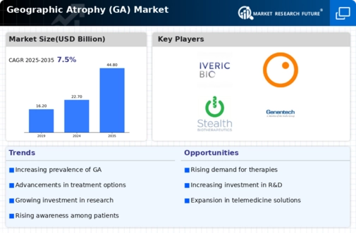 Geographic Atrophy GA Market Infographic