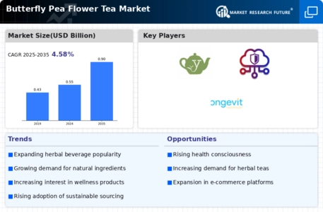 Butterfly Pea Flower Tea Market Infographic