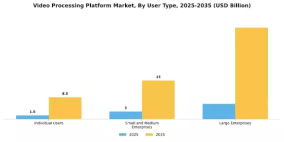 Video Processing Platform Market Segment Image 4