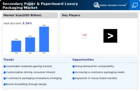 Secondary Paper and Paperboard Luxury Packaging Market Infographic